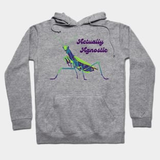 Praying Mantis Is Agnostic Hoodie